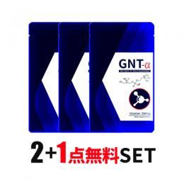 ≪2個＋1セット≫GNT-α(ジーエヌティーアルファ)